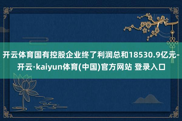 开云体育国有控股企业终了利润总和18530.9亿元-开云·kaiyun体育(中国)官方网站 登录入口