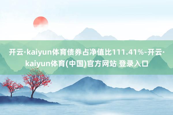 开云·kaiyun体育债券占净值比111.41%-开云·kaiyun体育(中国)官方网站 登录入口