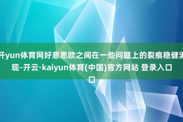 开yun体育网好意思欧之间在一些问题上的裂痕稳健涌现-开云·kaiyun体育(中国)官方网站 登录入口