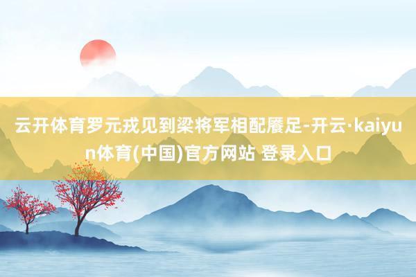 云开体育罗元戎见到梁将军相配餍足-开云·kaiyun体育(中国)官方网站 登录入口
